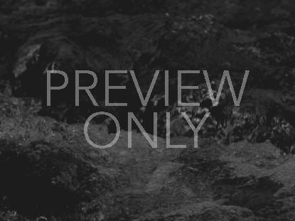 Black And White Crash