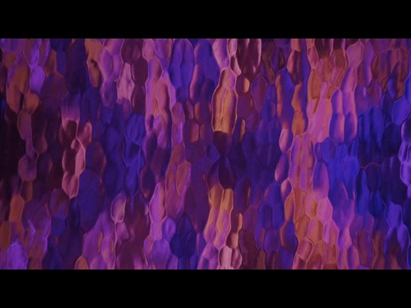 Lucent Orange Purple Pink