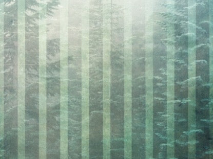 Calming Nature Green 5 Motion