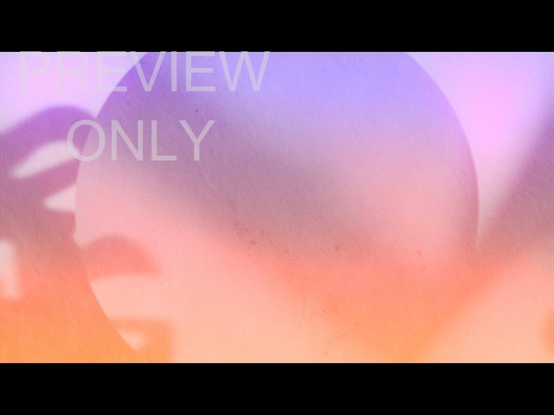 Passion Fruit Still 01
