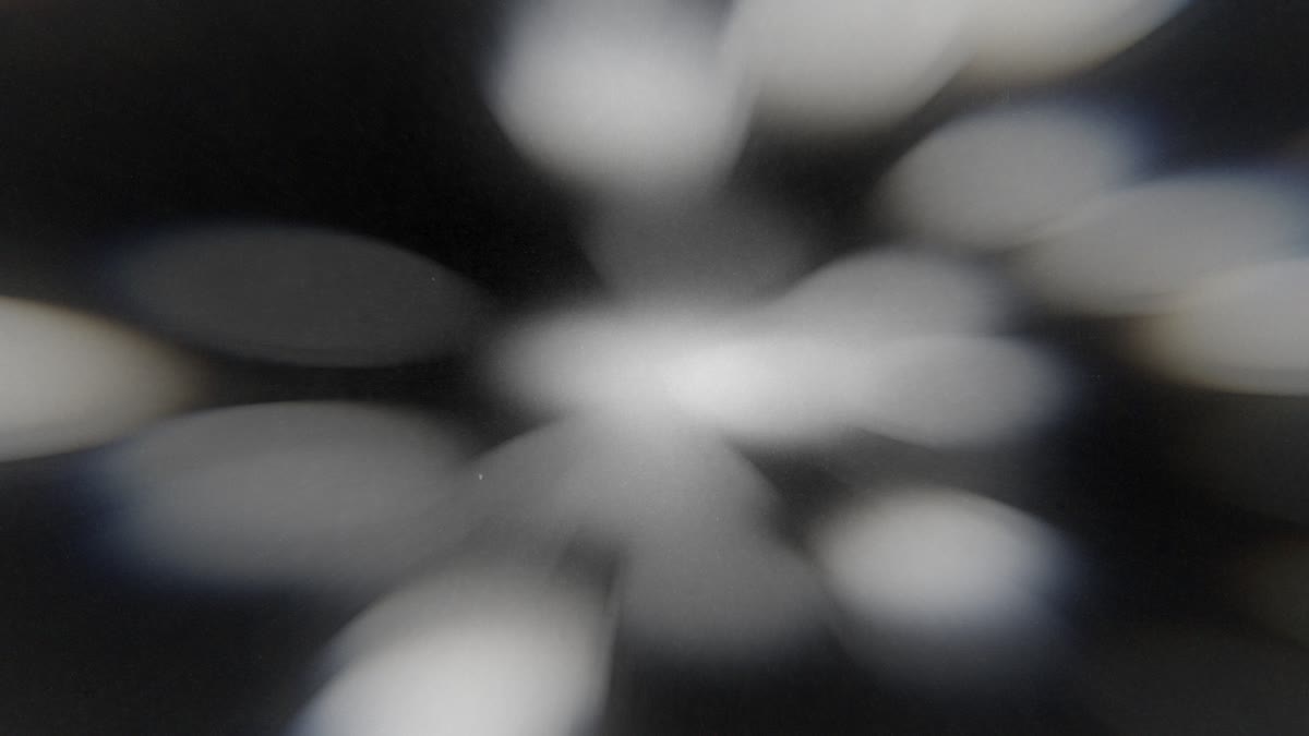 Faith in Focus 15