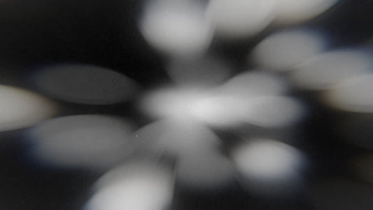 Faith in Focus 15