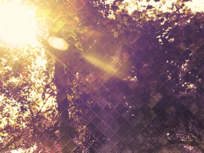 Fall Flare 1 Motion