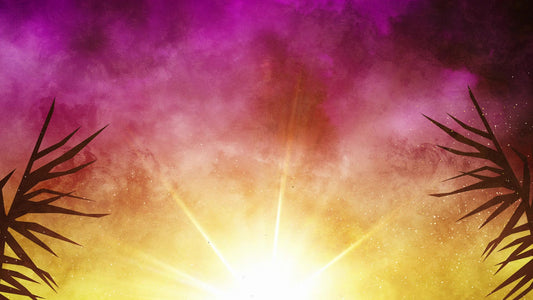 Bright Palm Sunday 02