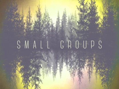 Natures Beauty Groups Motion