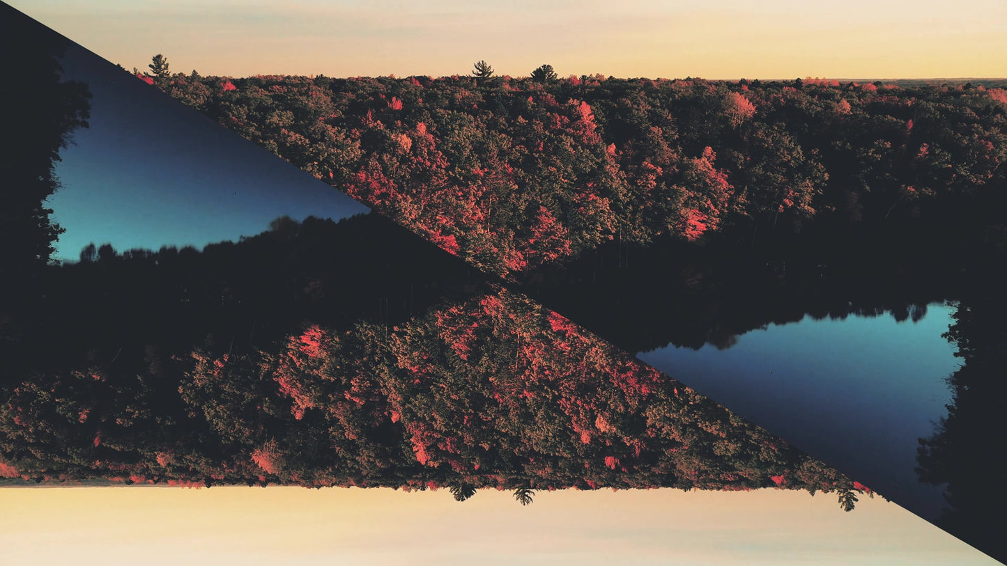 Fall Foliage Remixed 11 Motion