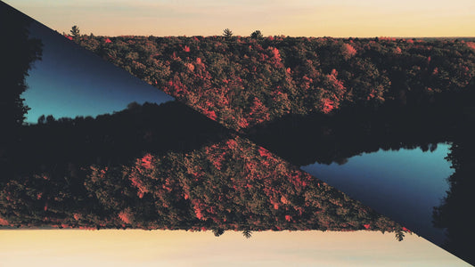 Fall Foliage Remixed 11 Motion