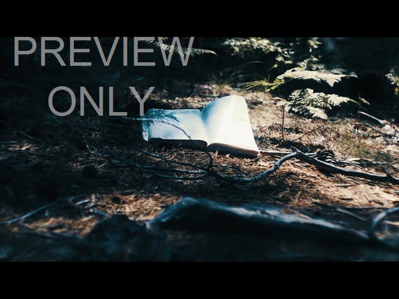 Bible And Crown 3 Still