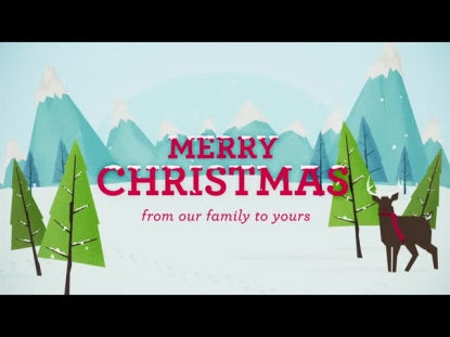 Winter Wonderland Merry Christmas