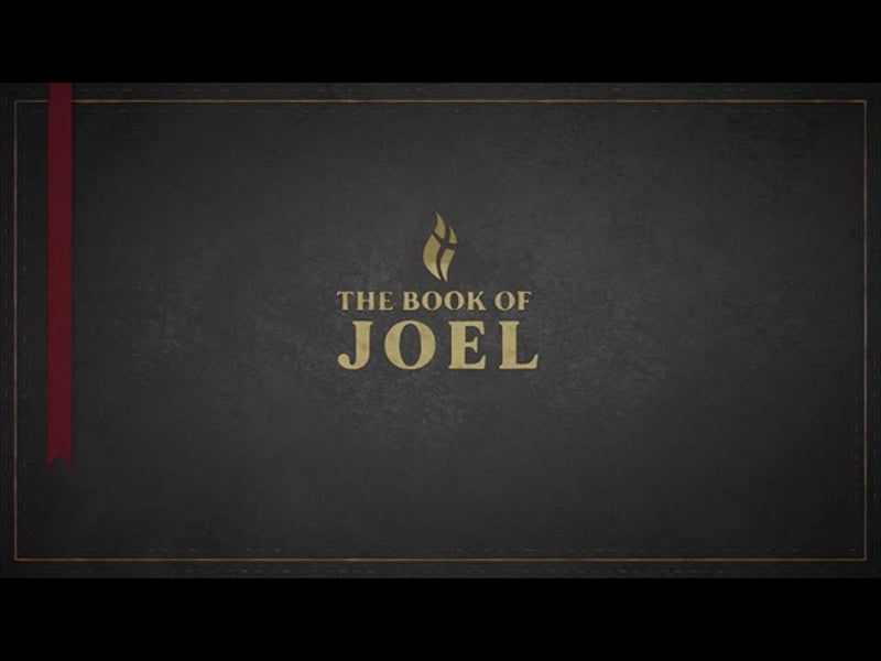 Joel - Black