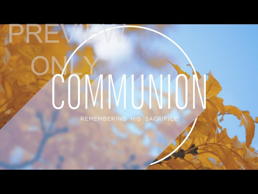 Fall Shadow Still Communion