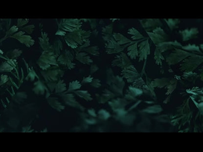Deep Green Leaves Triangle