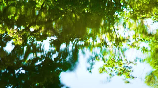 Living Waters 05