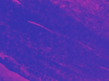 Color Dynamics Motion 5