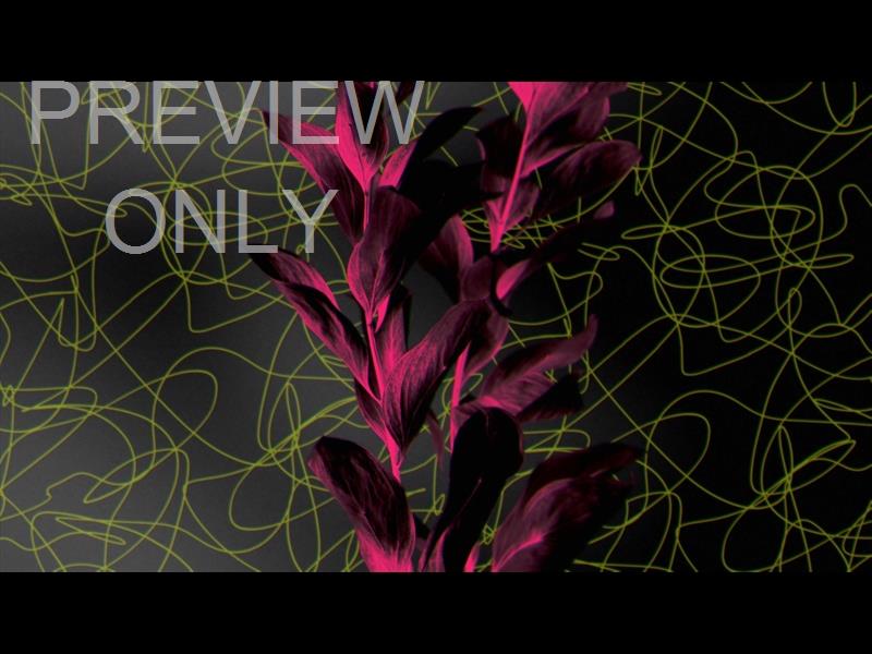 Neon Natro Still 05