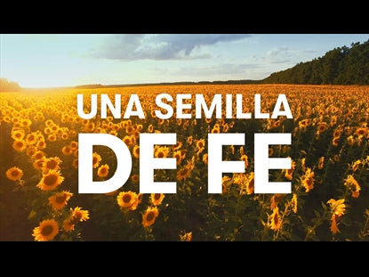 Una Semilla De Fe
