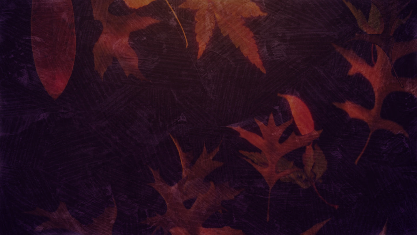Fall Into Grace Still 1