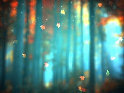 Autumn Leaves 4
