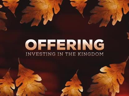 Autumn Glow Offering Motion