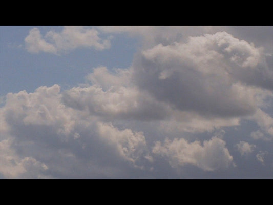 Now Is The Time Loop 09