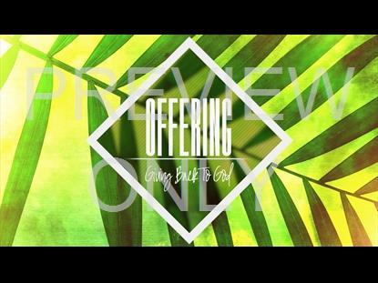 Palm Sunday Offering Graphic