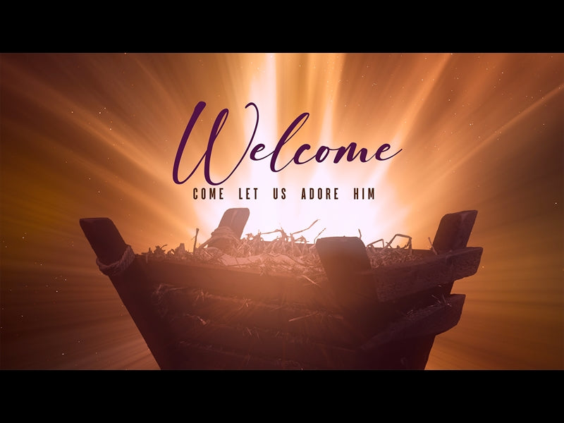 Christmas Manger Welcome