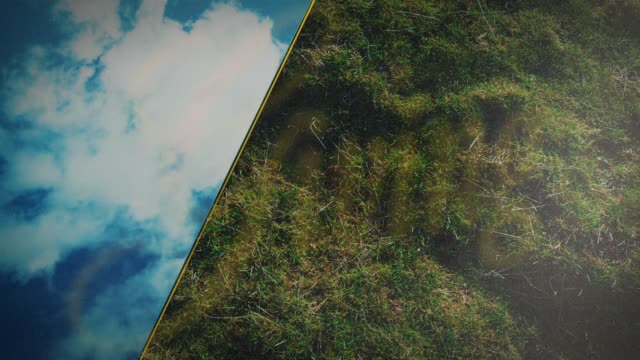 Heaven And Earth Giving