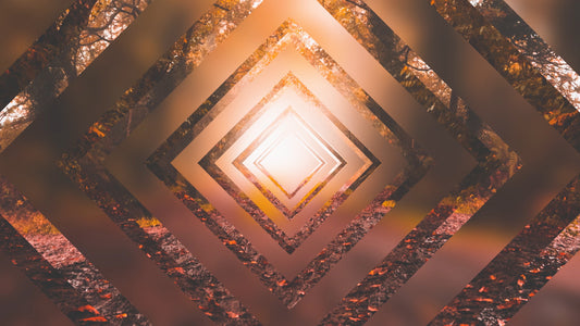 Autumn Journey 16 Still