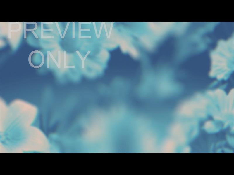 Made Beautiful Still 02