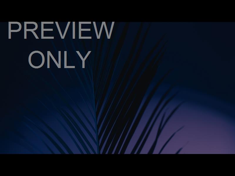 Cinematic Palms Still 19