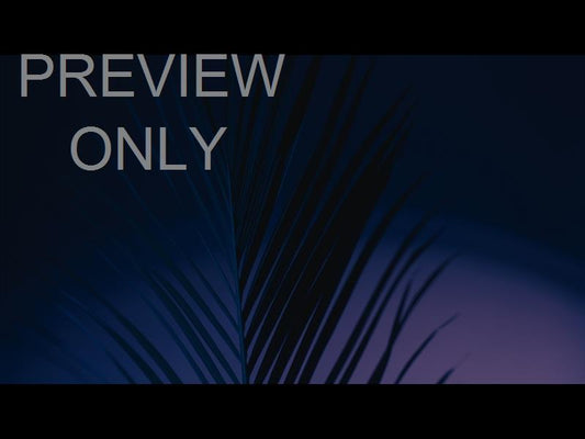 Cinematic Palms Still 19