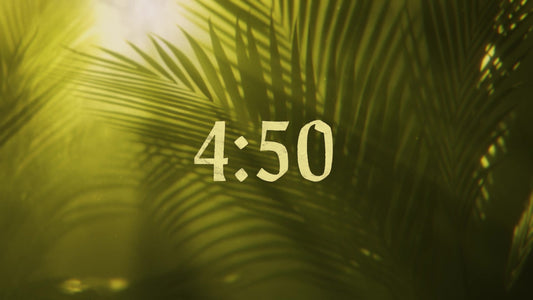 Holy Week 5 Min Countdown - Palms
