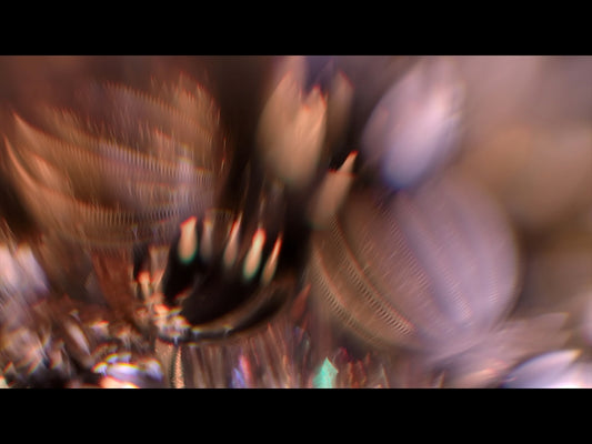 Christmas Ornamental 9