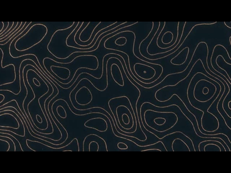 Topo Drawing 4