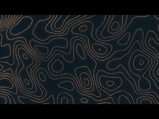 Topo Drawing 4