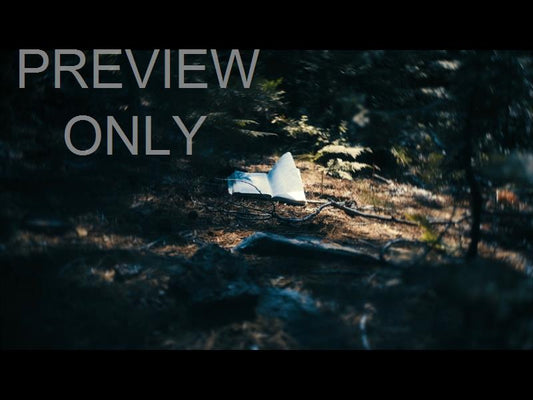 Bible And Crown 4 Still