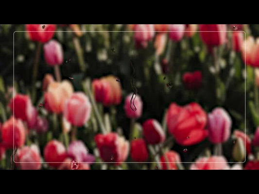 Floral Rain 3