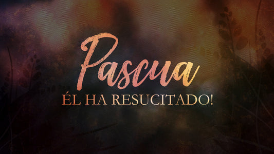 Grace Of Easter Easter Still -