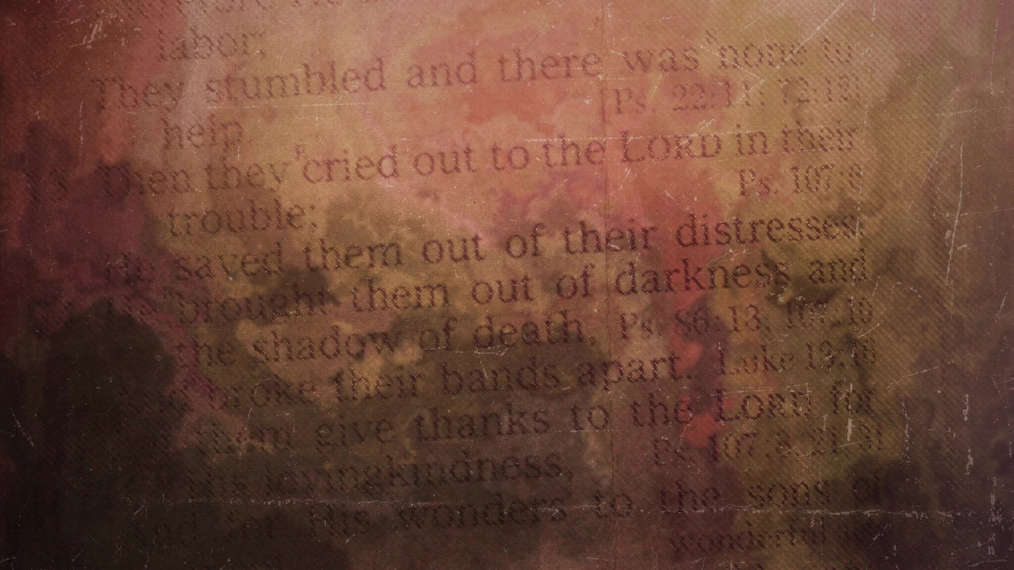 Faded Text Colors Still