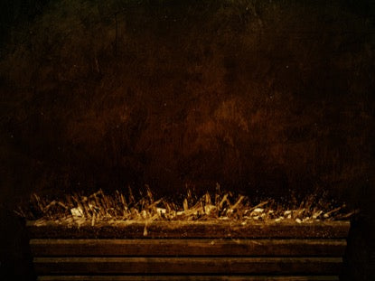 Holy Night Manger Warm