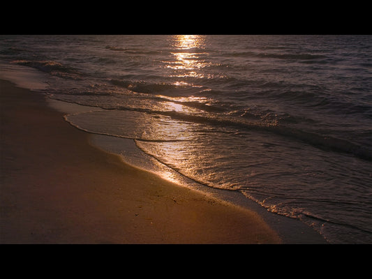 Sunset Beach 3 Motion
