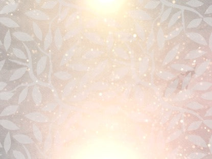 Seasonal Display Motion 4