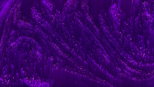 Wondrous 11 Still