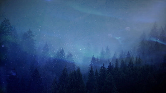 Calm And Bright Still 5