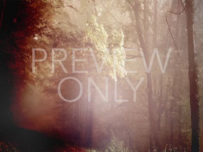 Crisp Morning 1 Still