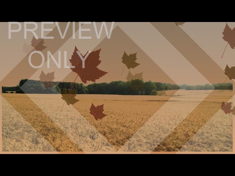 Harvest Background Still 2