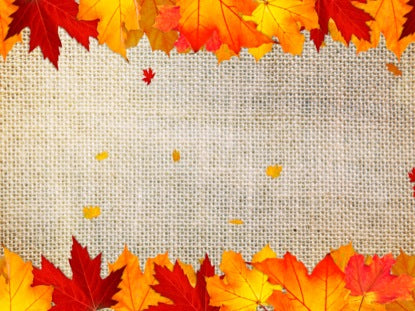 Autumn Leaves 4