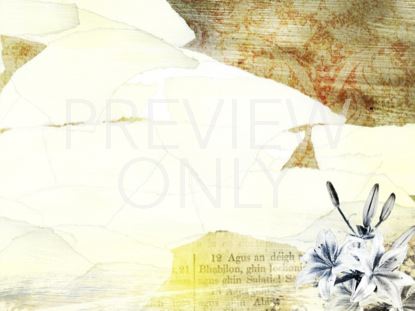 White Collage Still