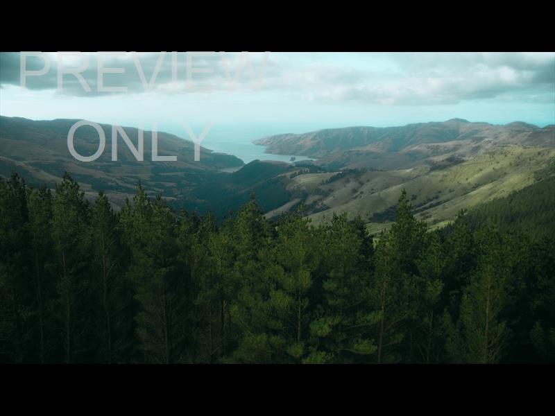 Aerial Bliss 1 Still