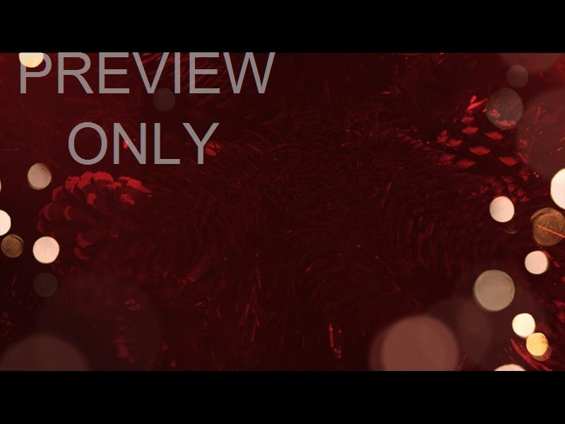 What's Your Focus Still 3